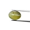 Loose Chrysoberyl Cat's Eye Gemstone