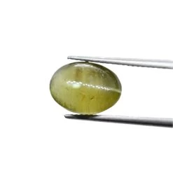Loose Chrysoberyl Cat's Eye Gemstone