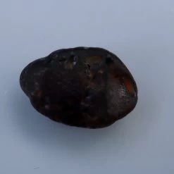 🟤 Natural Brown Sapphire – Facet Rough | 12.56 Carat | Unheated | Sri Lanka -Sapphire Pal Shop natural brown sapphire facet rough 1256 carat unheated sri lankasapphirepal 806799