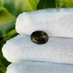 Natural Brown Yellow Tourmaline -Sapphire Pal Shop natural brown yellow tourmalinesapphirepal 276255