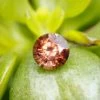 Natural Brown Zircon - 1.64Carat