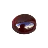 Natural Hessonite Garnet – 15.80 Carat | Oval Cabochon Cut