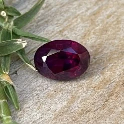 Natural Ruby - 1.12 Carat -Sapphire Pal Shop natural ruby 112 caratsapphirepal 896305