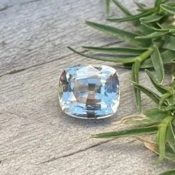 Pale Peachy Champagne  Sapphire -Sapphire Pal Shop pale peachy champagne sapphiresapphirepal 233556