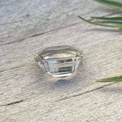 Pale Peachy Champagne  Sapphire -Sapphire Pal Shop pale peachy champagne sapphiresapphirepal 883314